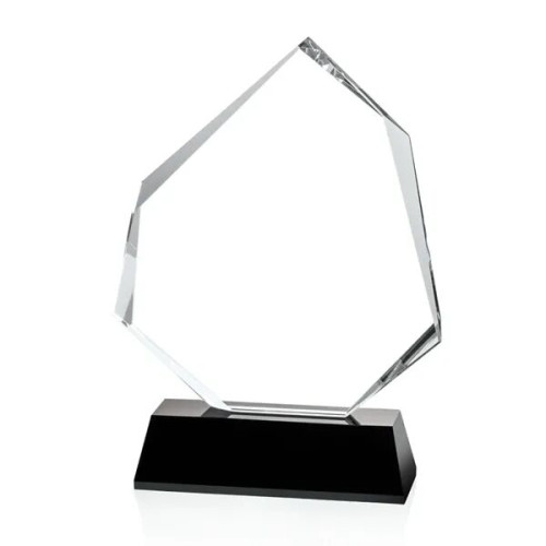 Warner Award - Black