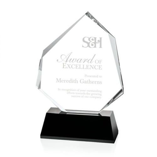 Warner Award - Black