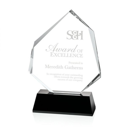 Warner Award - Black