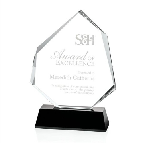 Warner Award - Black