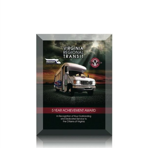 Ramona VividPrint™ Award