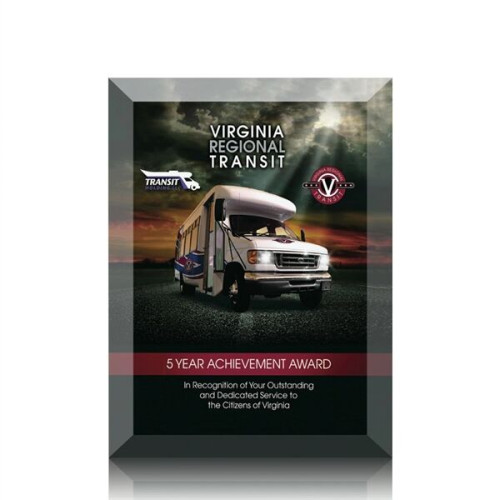 Ramona VividPrint™ Award