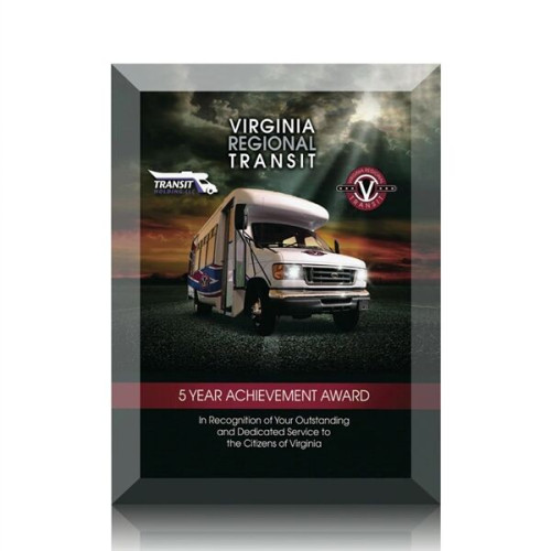 Ramona VividPrint™ Award