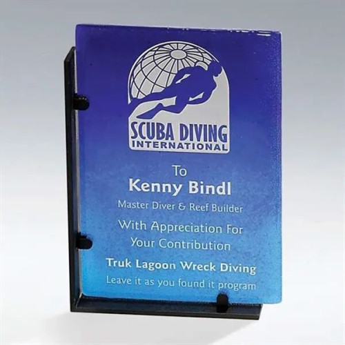 Recycled Rectangle Award