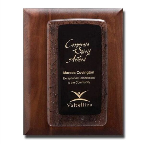 Fusion Plaque - Ebony