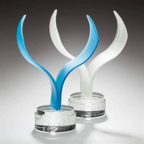 Aerial Award