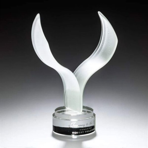 Aerial Award