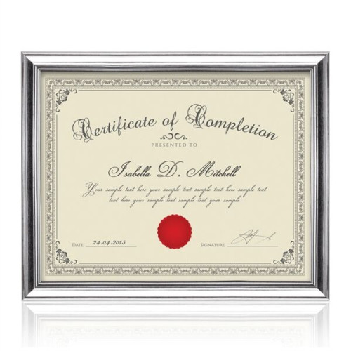 Ellison Certificate Frame - Silver