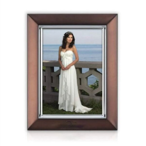 Albrighton Picture Frame - Bronze/Silver