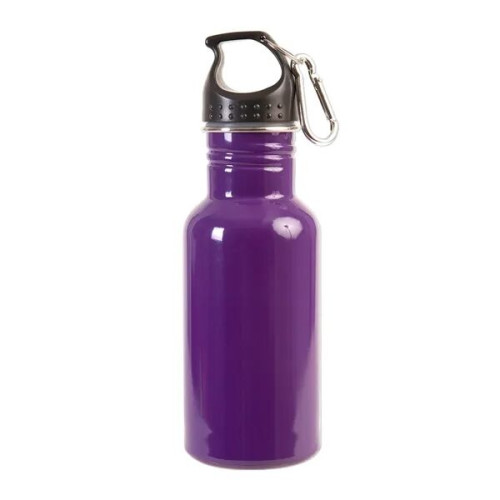 17 oz Stainless Steel Adventure Water Bottle With Carabiner