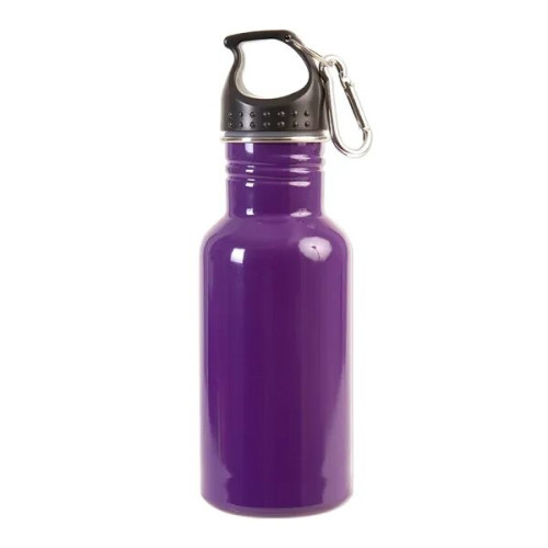 17 oz Stainless Steel Adventure Water Bottle With Carabiner