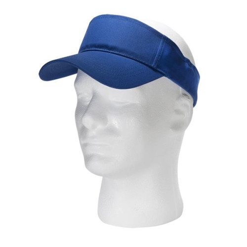 Budget Visor