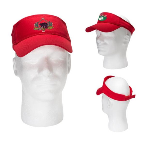 Budget Visor