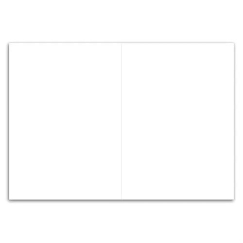 Bifold 5-3/4 x 8-1/4 Direct Mail Postcard