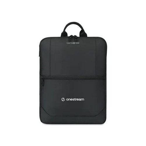 Samsonite Convertible Luggage Cover and Laptop Backpack