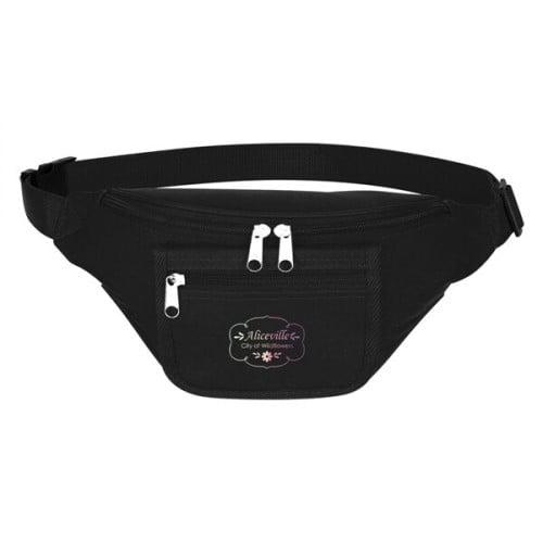 Fanny Pack With Organizer