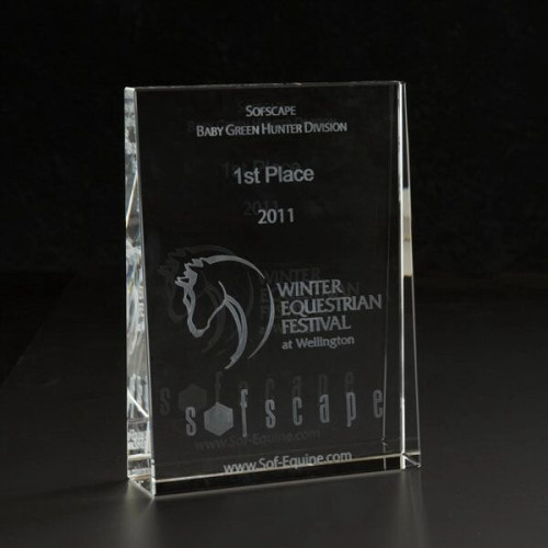 3D Crystal Wedge Large Award