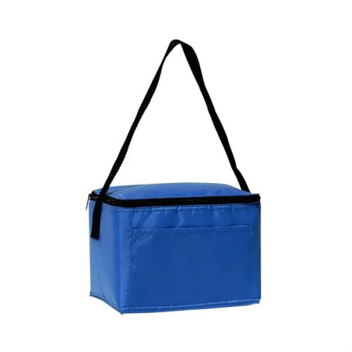 Insulated 6 Pack Cooler