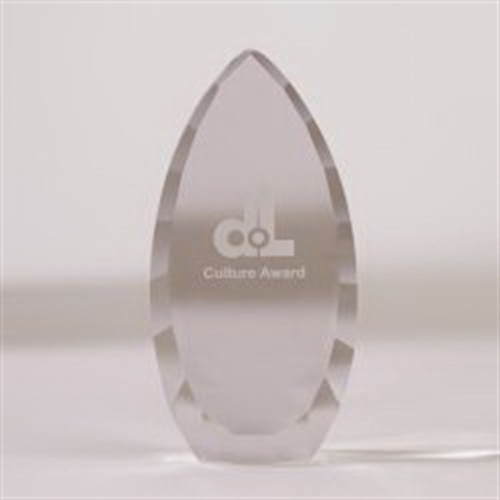 Faceted Teardrop Award - Large