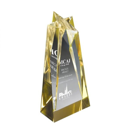 Medium Star Sculpture Award